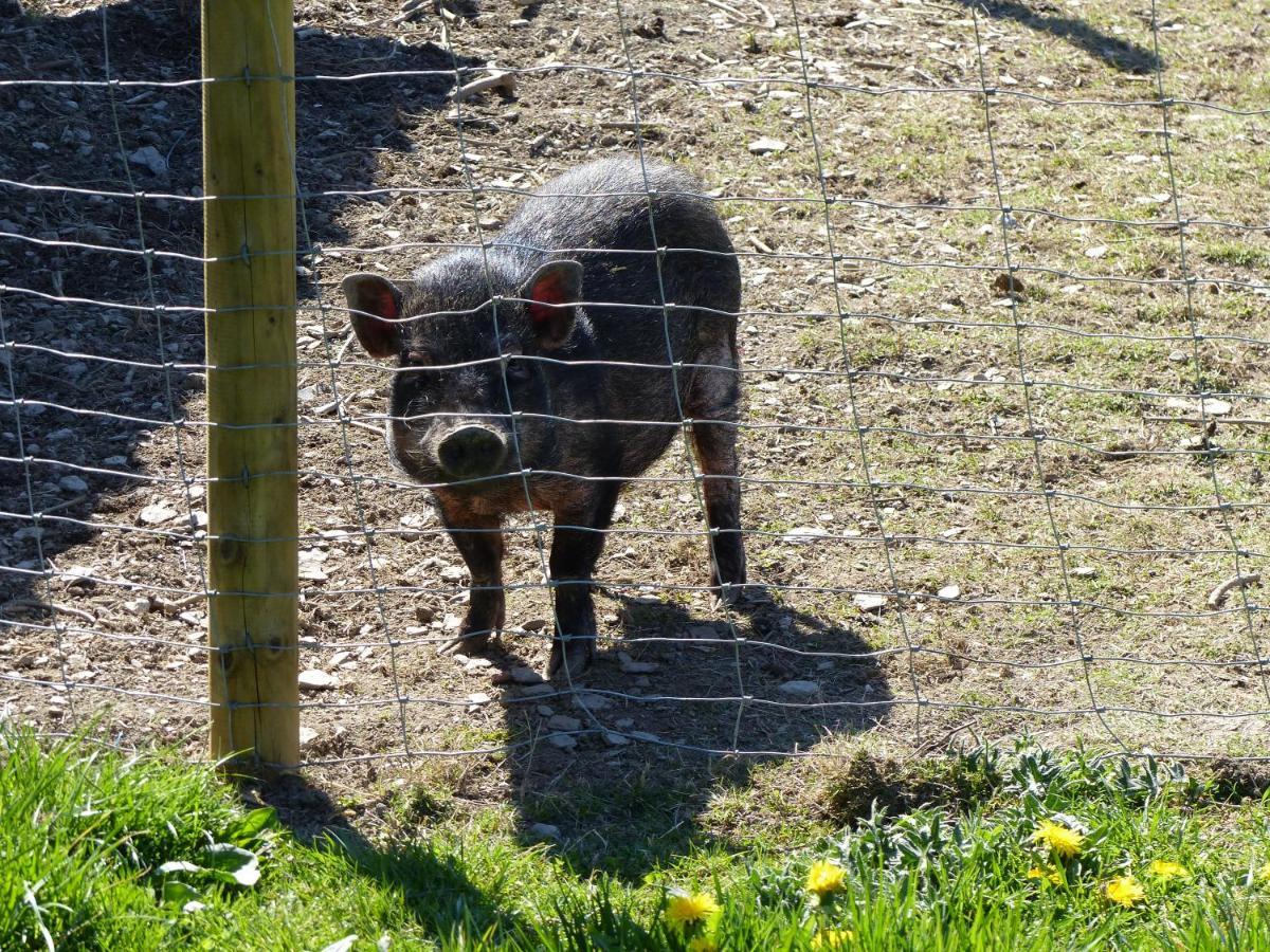 Xavers Ranch Meschede Esterno foto